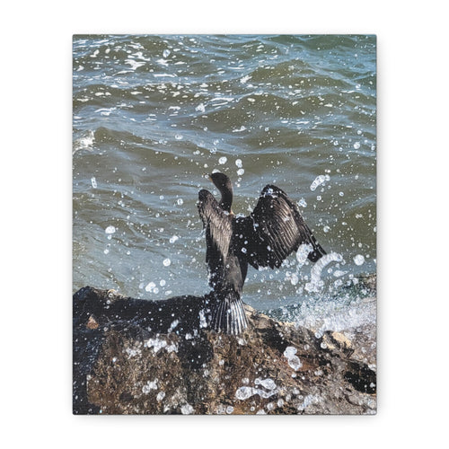 Cormorant Sea Spray Matte Canvas Wall Art — Stretched 1.25"
