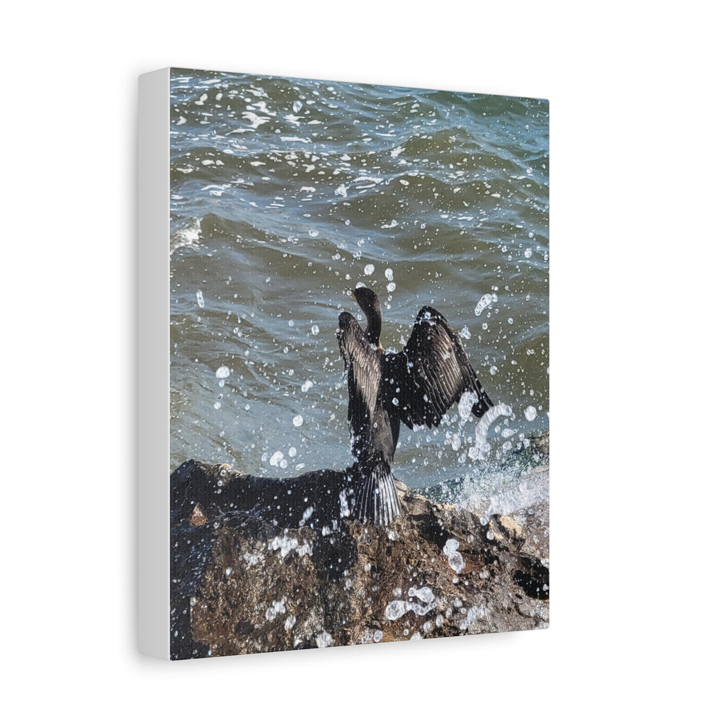 Cormorant Sea Spray Matte Canvas Wall Art — Stretched 1.25"